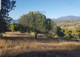 Αγροτεμάχια 18.000 τ.μ. για πώληση, Αργολίδα, Κρανίδι-thumb-23
