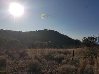 Αγροτεμάχια 18.000 τ.μ. για πώληση, Αργολίδα, Κρανίδι-thumb-19