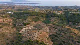 Αγροτεμάχια 18.000 τ.μ. για πώληση, Αργολίδα, Κρανίδι-thumb-8