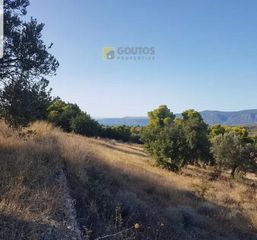 Αγροτεμάχια 18.000 τ.μ. για πώληση, Αργολίδα, Κρανίδι-thumb-26