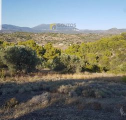 Αγροτεμάχια 18.000 τ.μ. για πώληση, Αργολίδα, Κρανίδι-thumb-22