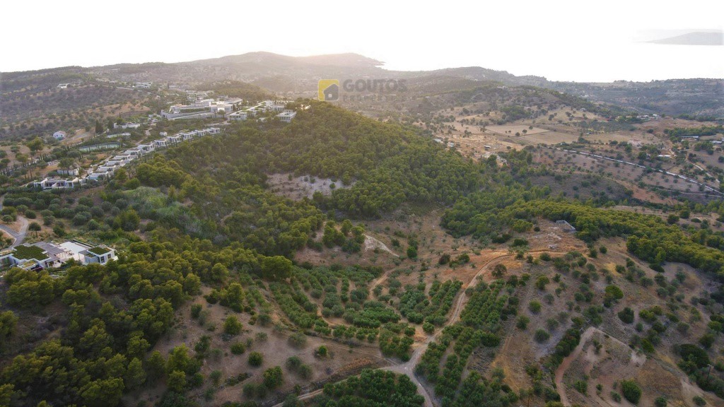 Αγροτεμάχια 18.000 τ.μ. πρός πώληση, Αργολίδα, Κρανίδι