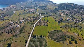 Αγροτεμάχια 31.209 τ.μ. για πώληση, Αργολίδα, Ερμιόνη-thumb-11
