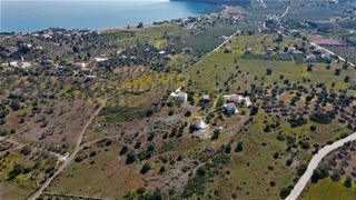 Αγροτεμάχια 31.209 τ.μ. για πώληση, Αργολίδα, Ερμιόνη-thumb-14