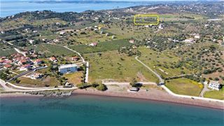 Αγροτεμάχια 31.209 τ.μ. για πώληση, Αργολίδα, Ερμιόνη-thumb-3