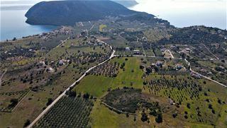 Αγροτεμάχια 31.209 τ.μ. για πώληση, Αργολίδα, Ερμιόνη-thumb-9
