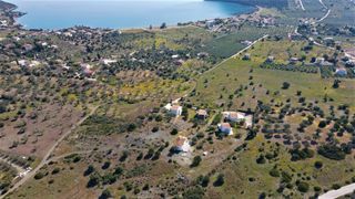 Αγροτεμάχια 31.209 τ.μ. για πώληση, Αργολίδα, Ερμιόνη-thumb-15