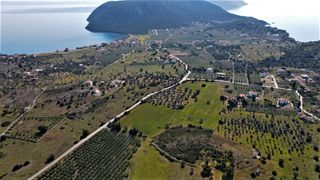 Αγροτεμάχια 31.209 τ.μ. για πώληση, Αργολίδα, Ερμιόνη-thumb-8