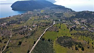 Αγροτεμάχια 31.209 τ.μ. για πώληση, Αργολίδα, Ερμιόνη-thumb-10