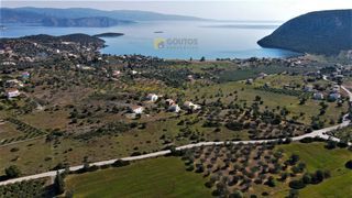 Αγροτεμάχια 31.209 τ.μ. για πώληση, Αργολίδα, Ερμιόνη-thumb-21