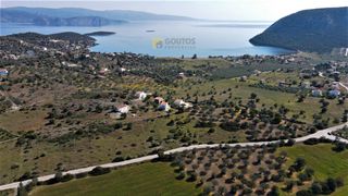 Αγροτεμάχια 31.209 τ.μ. για πώληση, Αργολίδα, Ερμιόνη-thumb-20