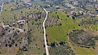 Αγροτεμάχια 31.209 τ.μ. για πώληση, Αργολίδα, Ερμιόνη-thumb-13