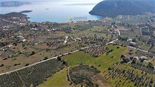 Αγροτεμάχια 31.209 τ.μ. για πώληση, Αργολίδα, Ερμιόνη-thumb-6