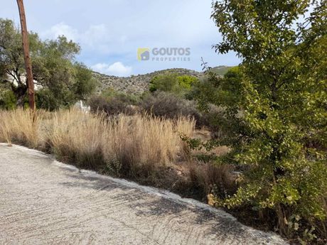Οικόπεδο 501,8τ.μ. για πώληση-Σαλαμίνα