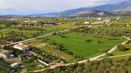 Αγροτεμάχια 4.500τ.μ. για πώληση-Κρανίδι