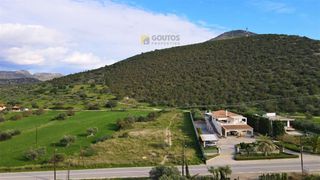 Αγροτεμάχια 4.500 τ.μ. για πώληση, Αργολίδα, Κρανίδι-thumb-18