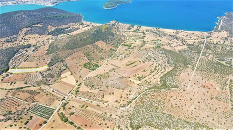Αγροτεμάχια 5.215τ.μ. για πώληση-Κρανίδι