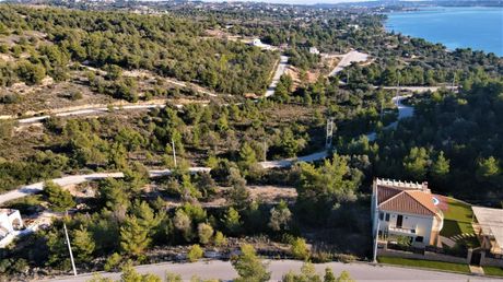Οικόπεδο 337τ.μ. για πώληση-Κρανίδι