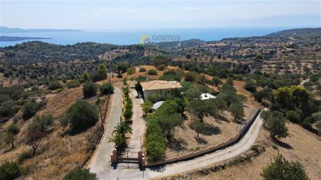 Μονοκατοικία 110τ.μ. για πώληση-Κρανίδι