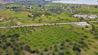 Αγροτεμάχια 18.000 τ.μ. για πώληση, Αργολίδα, Κρανίδι-thumb-4