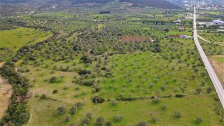 Αγροτεμάχια 18.000 τ.μ. για πώληση, Αργολίδα, Κρανίδι-thumb-9