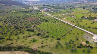 Αγροτεμάχια 18.000 τ.μ. για πώληση, Αργολίδα, Κρανίδι-thumb-11