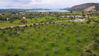 Αγροτεμάχια 18.000 τ.μ. για πώληση, Αργολίδα, Κρανίδι-thumb-5