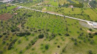 Αγροτεμάχια 18.000 τ.μ. για πώληση, Αργολίδα, Κρανίδι-thumb-16