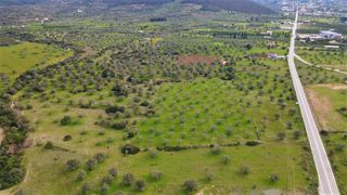 Αγροτεμάχια 18.000 τ.μ. για πώληση, Αργολίδα, Κρανίδι-thumb-8