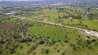 Αγροτεμάχια 18.000 τ.μ. για πώληση, Αργολίδα, Κρανίδι-thumb-15