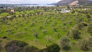 Αγροτεμάχια 18.000 τ.μ. για πώληση, Αργολίδα, Κρανίδι-thumb-6