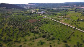 Αγροτεμάχια 18.000 τ.μ. για πώληση, Αργολίδα, Κρανίδι-thumb-12