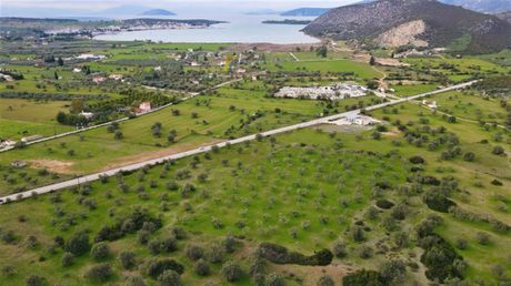 Αγροτεμάχια 18.000τ.μ. για πώληση-Κρανίδι