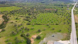 Αγροτεμάχια 18.000 τ.μ. για πώληση, Αργολίδα, Κρανίδι-thumb-7