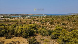 Οικόπεδο 7.000 τ.μ. για πώληση, Αργολίδα, Κρανίδι-thumb-23