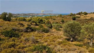 Οικόπεδο 7.000 τ.μ. για πώληση, Αργολίδα, Κρανίδι-thumb-3