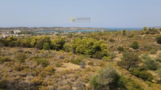 Οικόπεδο 7.000 τ.μ. για πώληση, Αργολίδα, Κρανίδι-thumb-18