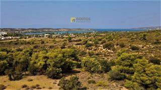 Οικόπεδο 7.000 τ.μ. για πώληση, Αργολίδα, Κρανίδι-thumb-24
