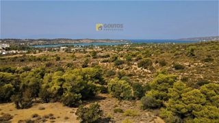 Οικόπεδο 7.000 τ.μ. για πώληση, Αργολίδα, Κρανίδι-thumb-23
