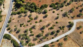 Αγροτεμάχια 8.053 τ.μ. για πώληση, Αργολίδα, Κρανίδι-thumb-4