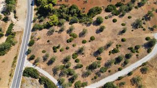 Αγροτεμάχια 8.053 τ.μ. για πώληση, Αργολίδα, Κρανίδι-thumb-3