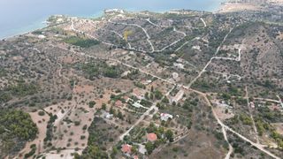 Αγροτεμάχια 65.782 τ.μ. για πώληση, Αργολίδα, Κρανίδι-thumb-6