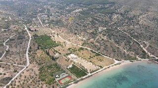 Αγροτεμάχια 65.782 τ.μ. για πώληση, Αργολίδα, Κρανίδι-thumb-10
