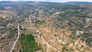 Αγροτεμάχια 65.782 τ.μ. για πώληση, Αργολίδα, Κρανίδι-thumb-4