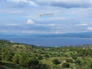 Αγροτεμάχια 65.782 τ.μ. για πώληση