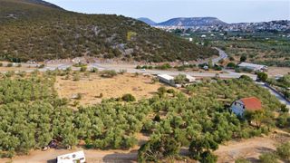 Αγροτεμάχια 6.000 τ.μ. για πώληση, Αργολίδα, Ερμιόνη-thumb-9