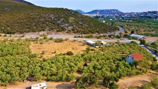 Αγροτεμάχια 6.000 τ.μ. για πώληση, Αργολίδα, Ερμιόνη-thumb-17