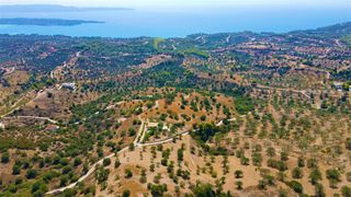 Οικόπεδο 9.557,50 τ.μ. για πώληση, Αργολίδα, Κρανίδι-thumb-7