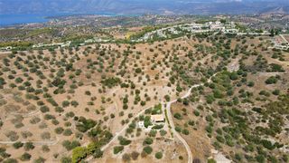 Οικόπεδο 9.557,50 τ.μ. για πώληση, Αργολίδα, Κρανίδι-thumb-13