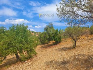 Οικόπεδο 9.557,50 τ.μ. για πώληση, Αργολίδα, Κρανίδι-thumb-19